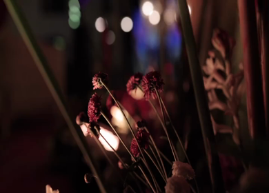 A Slow Motion Shot of an Indian Wedding Venue Decoration in India