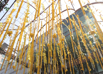 A Slow Motion Shot of an Indian Wedding Venue Decoration in India