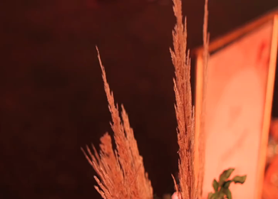 A Slow Motion Shot of an Indian Wedding Venue Decoration in India