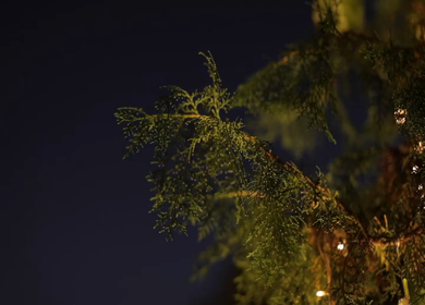 A Slow Motion Shot of an Indian Wedding Venue Decoration in India