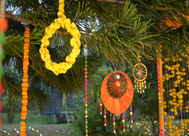A Slow Motion Shot of an Indian Wedding Venue Decoration in India