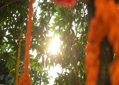 A Slow Motion Shot of an Indian Wedding Venue Decoration in India