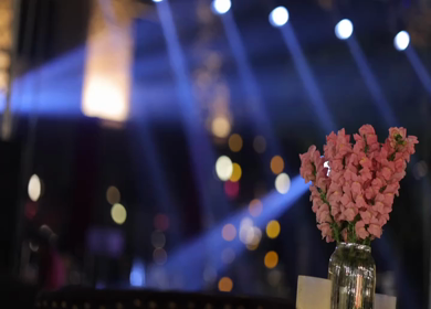 A Slow Motion Shot of an Indian Wedding Venue Decoration in India