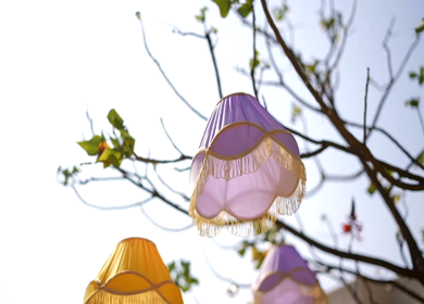 A Slow Motion Shot of an Indian Wedding Venue Decoration in India