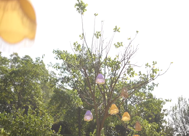 A Slow Motion Shot of an Indian Wedding Venue Decoration in India