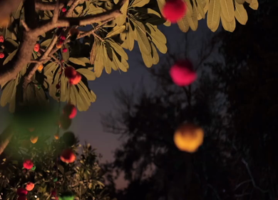 A Slow Motion Shot of an Indian Wedding Venue Decoration in India