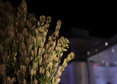 A Slow Motion Shot of an Indian Wedding Venue Decoration in India