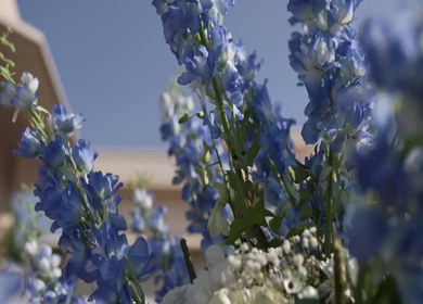 A Slow Motion Shot of an Indian Wedding Venue Decoration in India