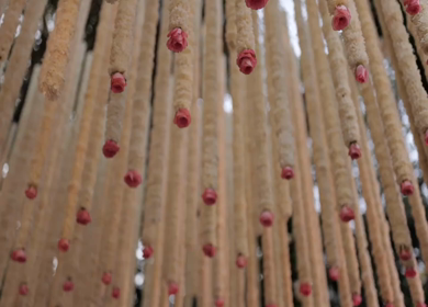 A Slow Motion Shot of an Indian Wedding Venue Decoration in India
