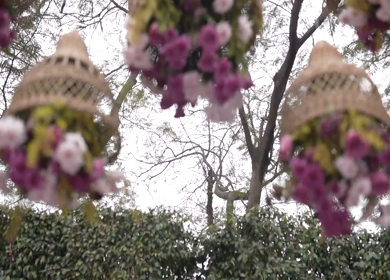 A Slow Motion Shot of an Indian Wedding Venue Decoration in India