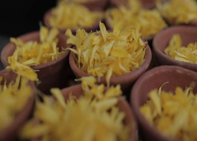 A Slow Motion Shot of an Indian Wedding Venue Decoration in India