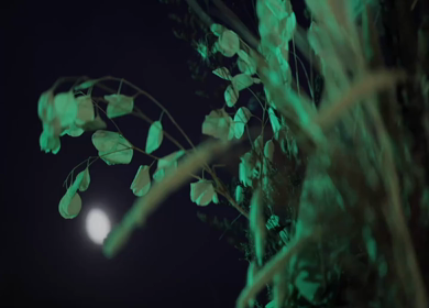 A Slow Motion Shot of an Indian Wedding Venue Decoration in India