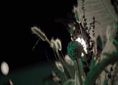 A Slow Motion Shot of an Indian Wedding Venue Decoration in India