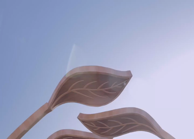 A Slow Motion Shot of an Indian Wedding Venue Decoration in India