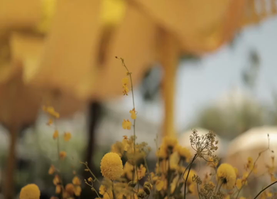 A Slow Motion Shot of an Indian Wedding Venue Decoration in India