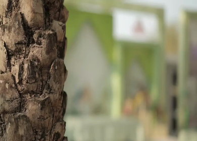 A Slow Motion Shot of an Indian Wedding Venue Decoration in India