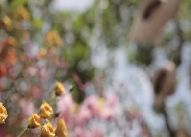 A Slow Motion Shot of an Indian Wedding Venue Decoration in India