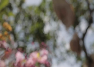 A Slow Motion Shot of an Indian Wedding Venue Decoration in India