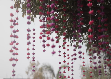 A Slow Motion Shot of an Indian Wedding Venue Decoration in India