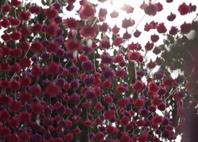 A Slow Motion Shot of an Indian Wedding Venue Decoration in India