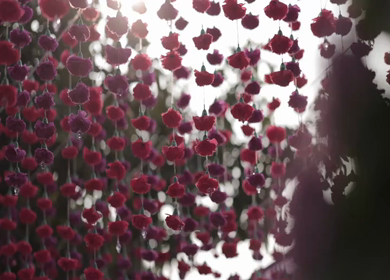 A Slow Motion Shot of an Indian Wedding Venue Decoration in India