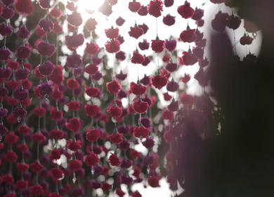 A Slow Motion Shot of an Indian Wedding Venue Decoration in India