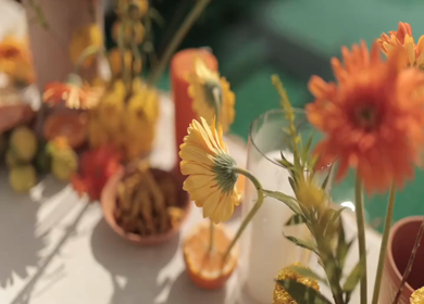 A Slow Motion Shot of an Indian Wedding Venue Decoration in India