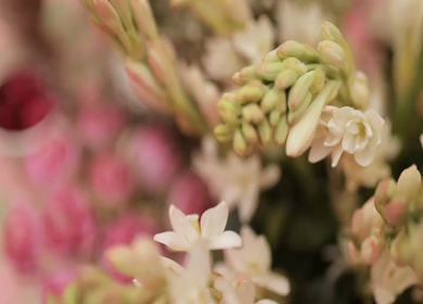 A Slow Motion Shot of an Indian Wedding Venue Decoration in India