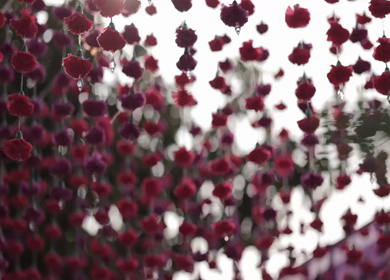 A Slow Motion Shot of an Indian Wedding Venue Decoration in India