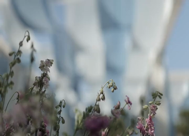 A Slow Motion Shot of an Indian Wedding Venue Decoration in India