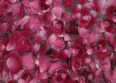 A Slow Motion Shot of an Indian Wedding Venue Decoration in India