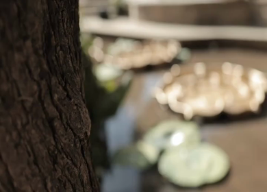 A Slow Motion Shot of an Indian Wedding Venue Decoration in India