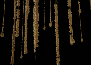 A Slow Motion Shot of an Indian Wedding Venue Decoration in India