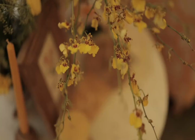A Slow Motion Shot of an Indian Wedding Venue Decoration in India