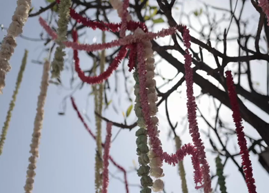 A Slow Motion Shot of an Indian Wedding Venue Decoration in India