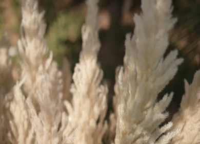 A Slow Motion Shot of an Indian Wedding Venue Decoration in India