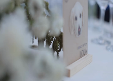 9th February, 2024 : A Slow Motion Shot of an Indian Wedding Venue Decoration in India