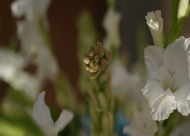 A Slow Motion Shot of an Indian Wedding Venue Decoration in India
