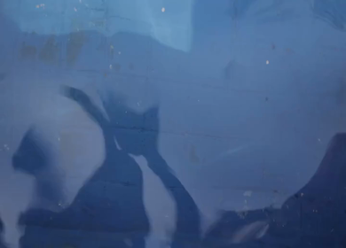 A Slow motion shot of a Indian Groom and Indian Bride posing towards camera at their Indian wedding in India