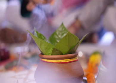A Slow Motion Shot of an Indian Wedding where rituals are being performed in India